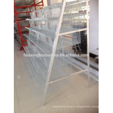 quail farm layer cage of commercial battery cage for chicken pullets production